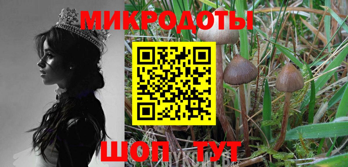 Галлюциногенные грибы Magic Shrooms Санкт-Петербург