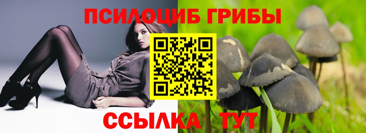 Галлюциногенные грибы Cubensis  Вход с VPN  Санкт-Петербург  Псилоцибиновые грибы ЛСД 